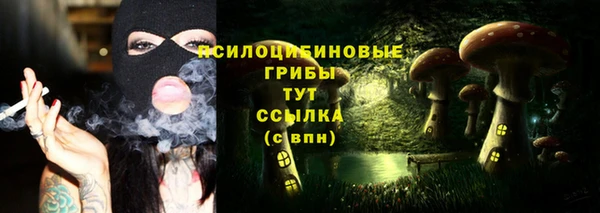 mix Богородицк