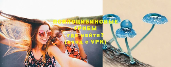 mix Богородицк