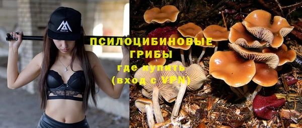ПСИЛОЦИБИНОВЫЕ ГРИБЫ Богородск