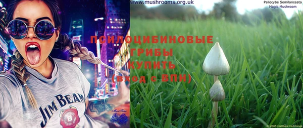 mix Богородицк